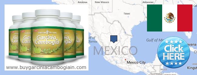 Dónde comprar Garcinia Cambogia Extract en linea Mexico